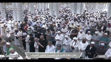 ما تيسر من سورة النحل. تلاوة محمد برهجي.  فجر ١٩ شوال ١٤٤٦.