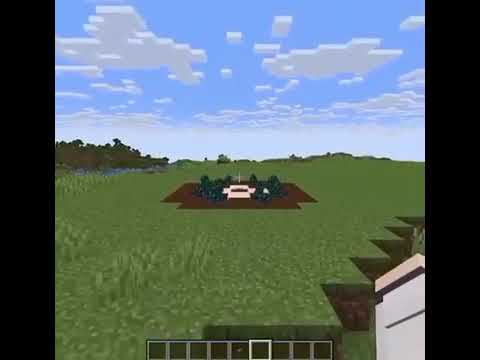 Minecraft soo k