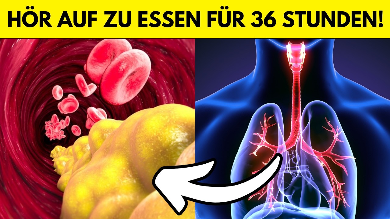 Was Passiert Wenn Man 48 Stunden Nichts Isst www.youtube.com