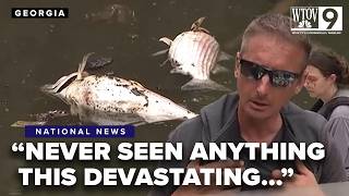 Georgia river filled with dead fish after mysterious black muck found on shore banks