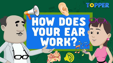 All about the Ear | Parts of the Ear | Noise Pollution | Class 8th |
