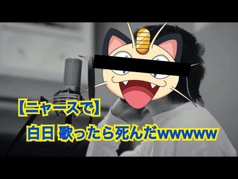 ニャースで白日歌ったら事故すぎたｗｗｗｗｗｗｗｗｗｗｗｗｗｗ