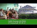 Feel the love in allowing  audio satsang with rishi