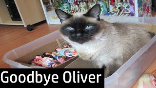 Goodbye Oliver