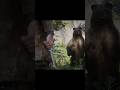 🐻 Arthur and Hosea tracking Legendary Bear #arthurmorgan #rdr2 #hunting #fyp #westernadventure