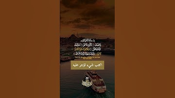 وَلَسَوْفَ يُعْطِيكَ رَبُّكَ فَتَرْضَىٰ || القارئ عبد الباسط عبد الصمد 🥺❤️