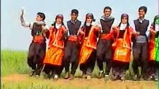 Halay Kürtçe Batman Mardin Siirt Kurdish Govend - Koma Diljiyan - Sasonlu Hüseyin - Xerzime