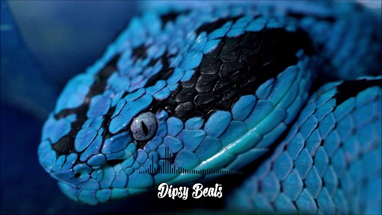 Dipsy Beats "Snakes"  (Instrumental)