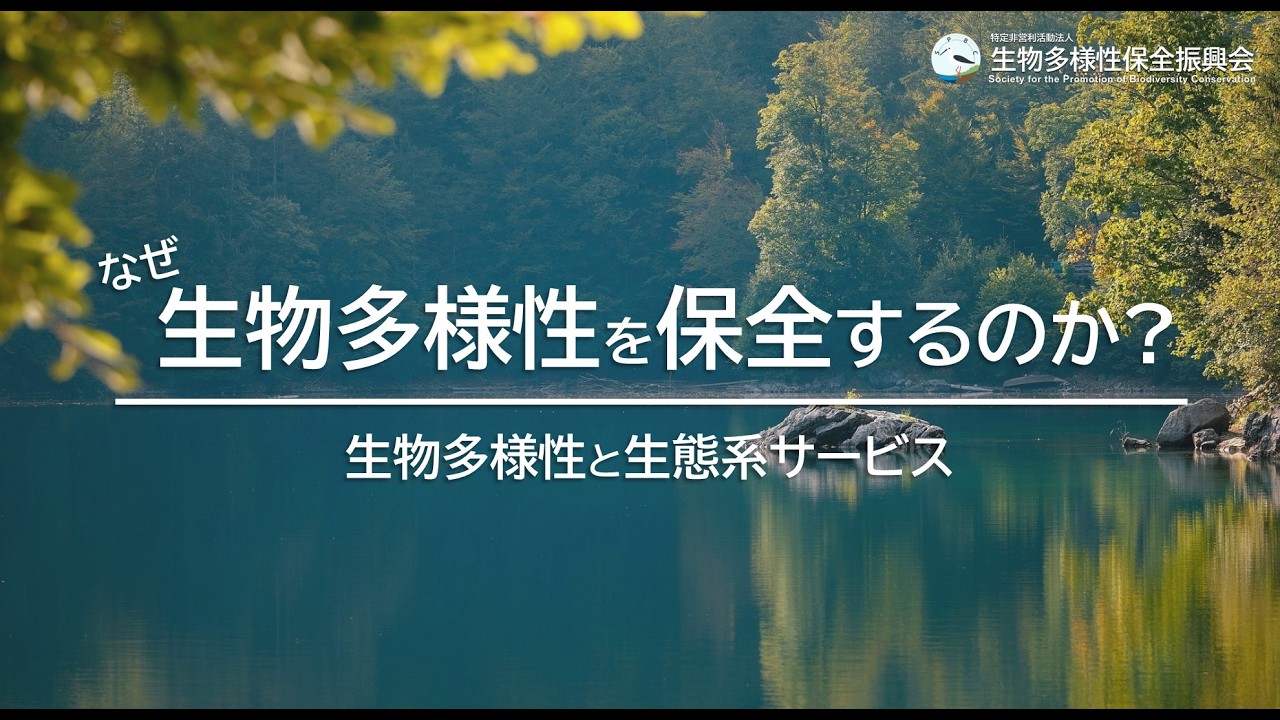 なぜ生物多様性を保全するのか？｜生態系サービス