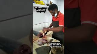 Fish Shop In Anna Nagar, Free Home Delivery