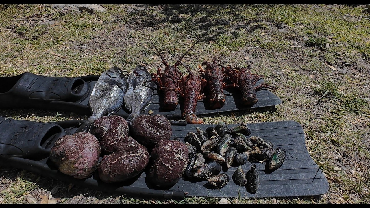 Solo crayfish and spearfishing Hangklip