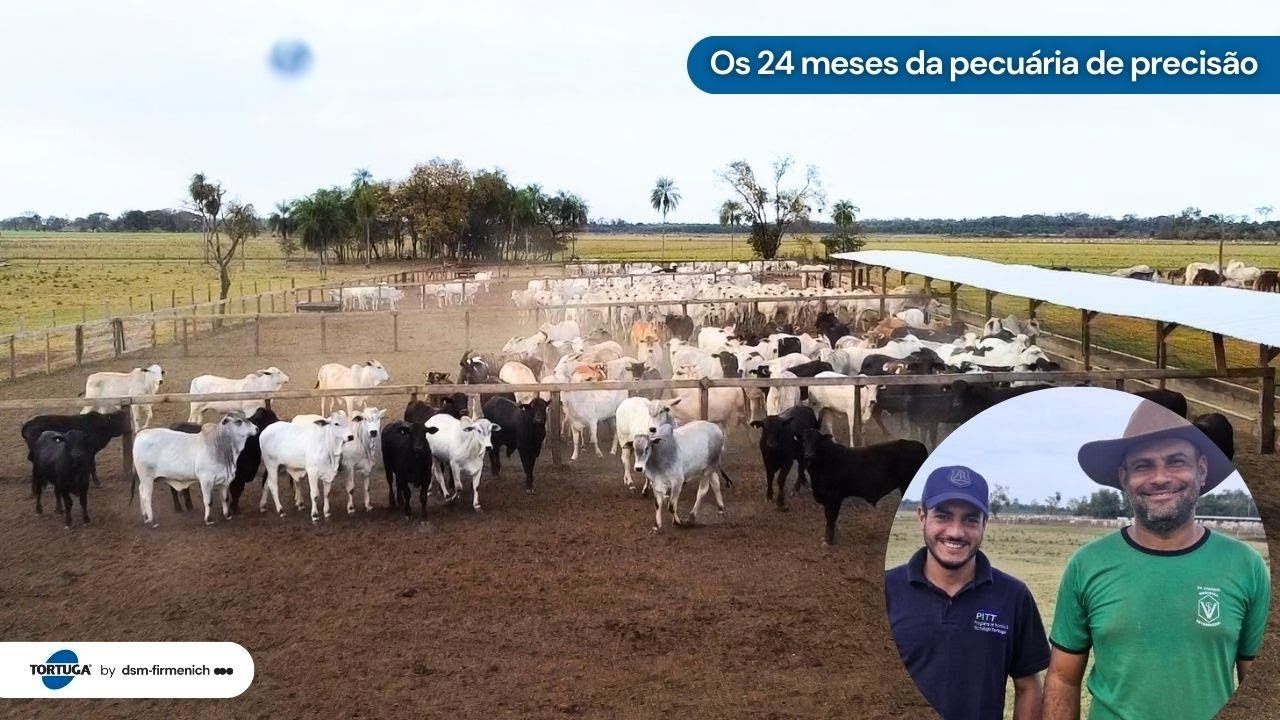 Agropecuária São Marcos mostra eficiência na terminação intensiva | Noticiário Tortuga