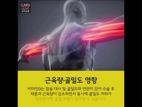 비만 환자가 영양소 결핍?