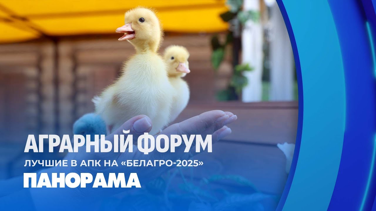 Новые технологии и возможности: выставка 