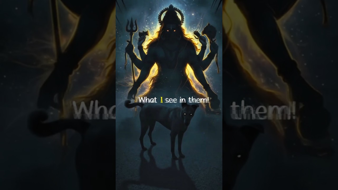 "Why Every Indian Should Love Dogs – My Heart-Melting Story 😍" 