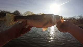 Early Spring Pond Fishing With Crankbaits And Swimbaits