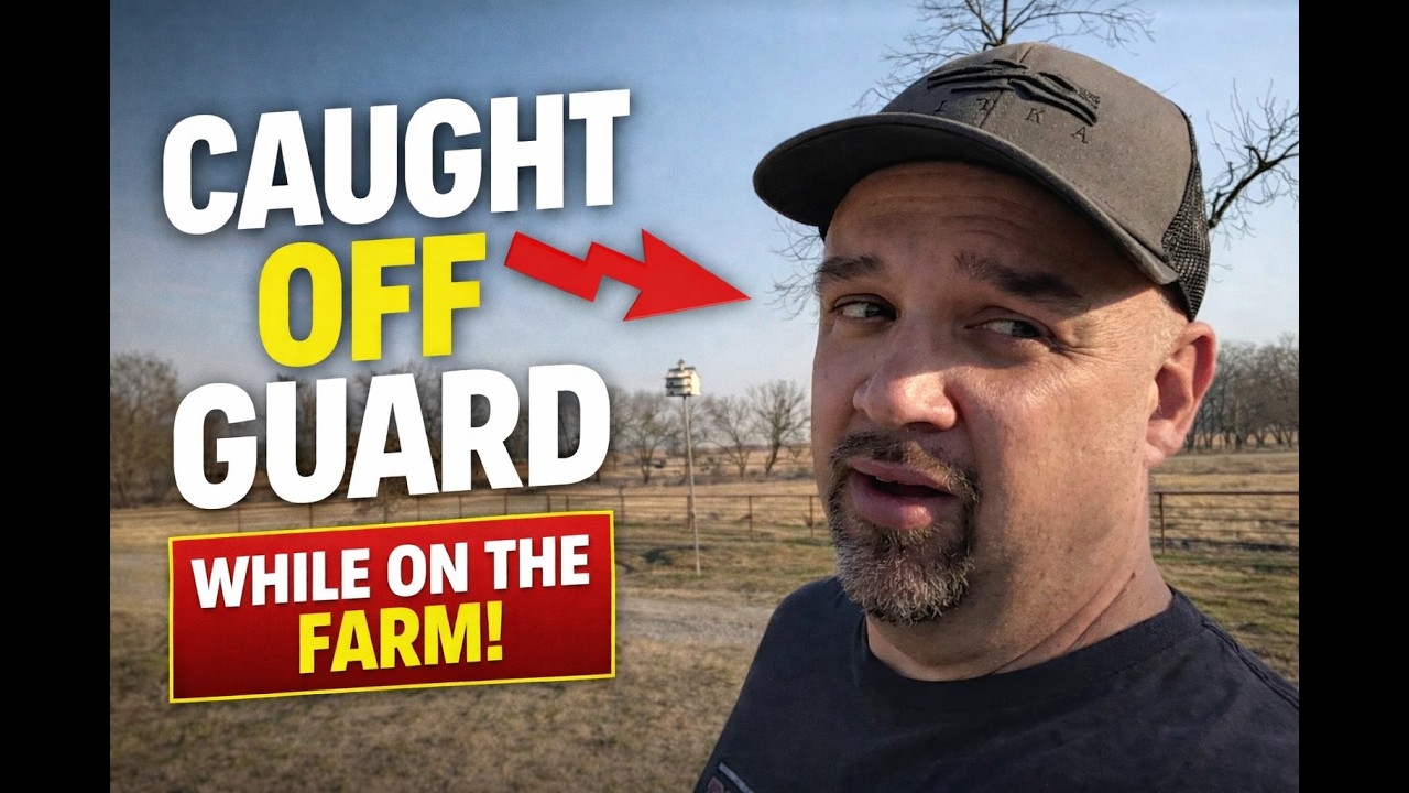 Вернувшись домой, я увидел это... Момент гордости отца на ферме!