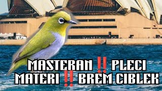 Masteranplecimateri Breem Ciblek
