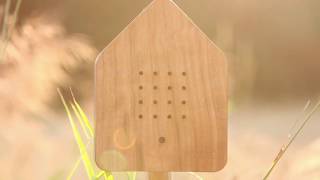 YouTube video nm8ZUO15VdA