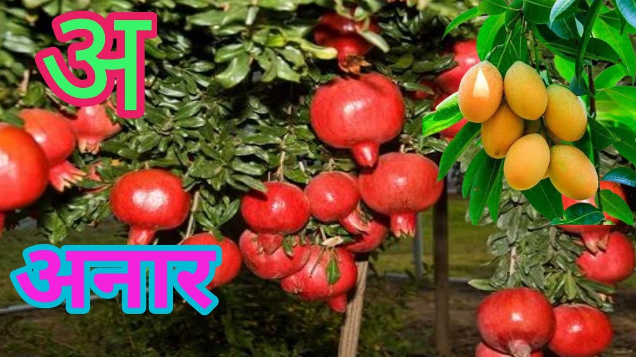 a se anar,अ से अनार - YouTube