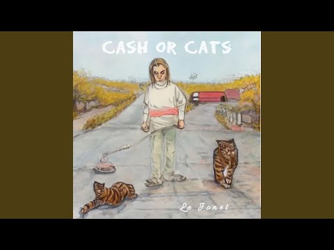 Cash or Cats