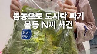 [브이로그]자취생 1인 가구🏠 봄동으로 N끼 차려묵기 🥬 직장인 도시락 🍱 자취 vlog