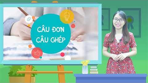 Câu đơn câu ghép là gì năm 2024