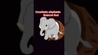 cocofanto elephanto!!!!!