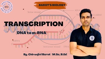 Transcription (DNA to m-RNA) | molecular basis of inheritance | #genetics #biology #trending
