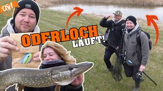 Fange mit Handmade Angelköder am ODERLOCH! Mission Raubfisch Angeln an der Oder