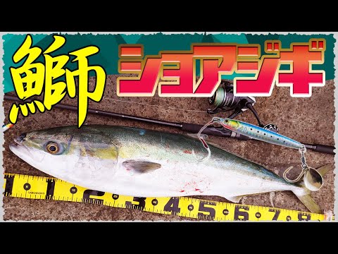 ライトショアジギング 2月中旬 堤防から鰤を仕留める 和歌山 クロスライド5g Xr5 962m Lsj Youtube