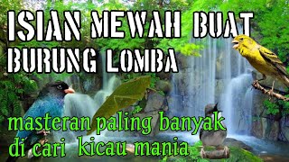 kombinasi suara masteran burung paling banyak di cari mp3