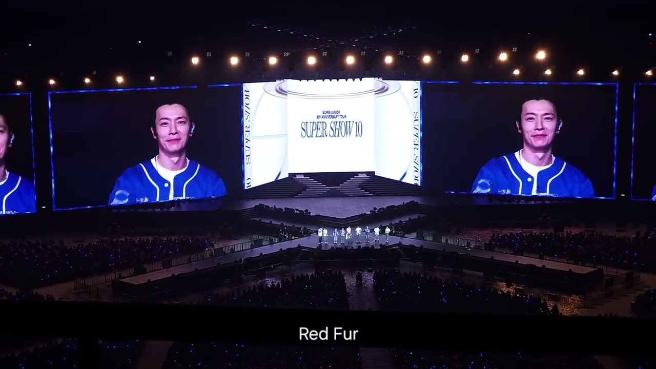 251116 SUPER JUNIOR Taiwan ELF Drone Show Event + Talk@20th Anniversary TOUR SUPER SHOW 10 in TAIPEI