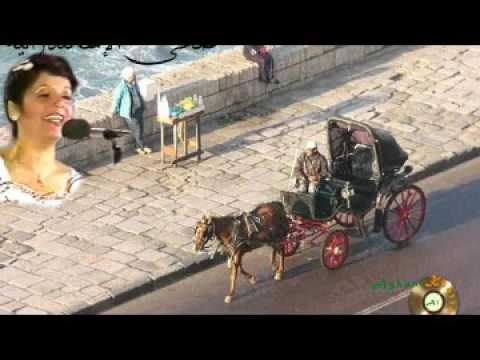 أبو الحلاوه ضحى الإسكندرانية 