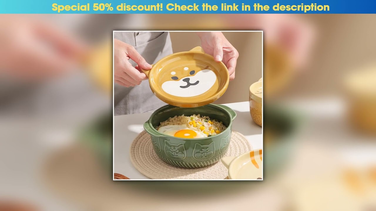 Best Cartoon Cat Fruit Bowl with Lid Ceramic Breakfast Cup Delicate Animal Salad Dessert Noodle Sou