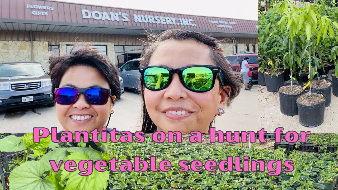 Plants Shopping at a Local Nursery | Vegetable Plants Shopping Haul for Spring | Shop With Us