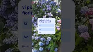sondaggio giardino fiorito #sondaggi