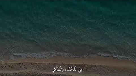 القارئ عبد الرحمن مسعد | إن الصلاة تنهي عن الفحشاء والمنكر 🌿