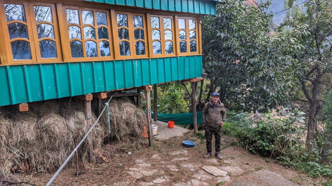 Laida Holiday Homestay