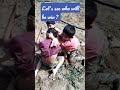 #Great fun#home town #brotherhood #interesting 😂 #marne ki baat kre tere yaar ke 😂 #short video
