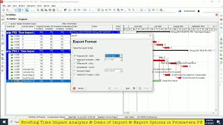Import & Export Options in Primavera P6