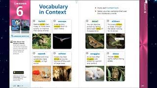 Vocabulary Words for Journeys Lesson 6 for Third Grade: Bat Loves the Night
