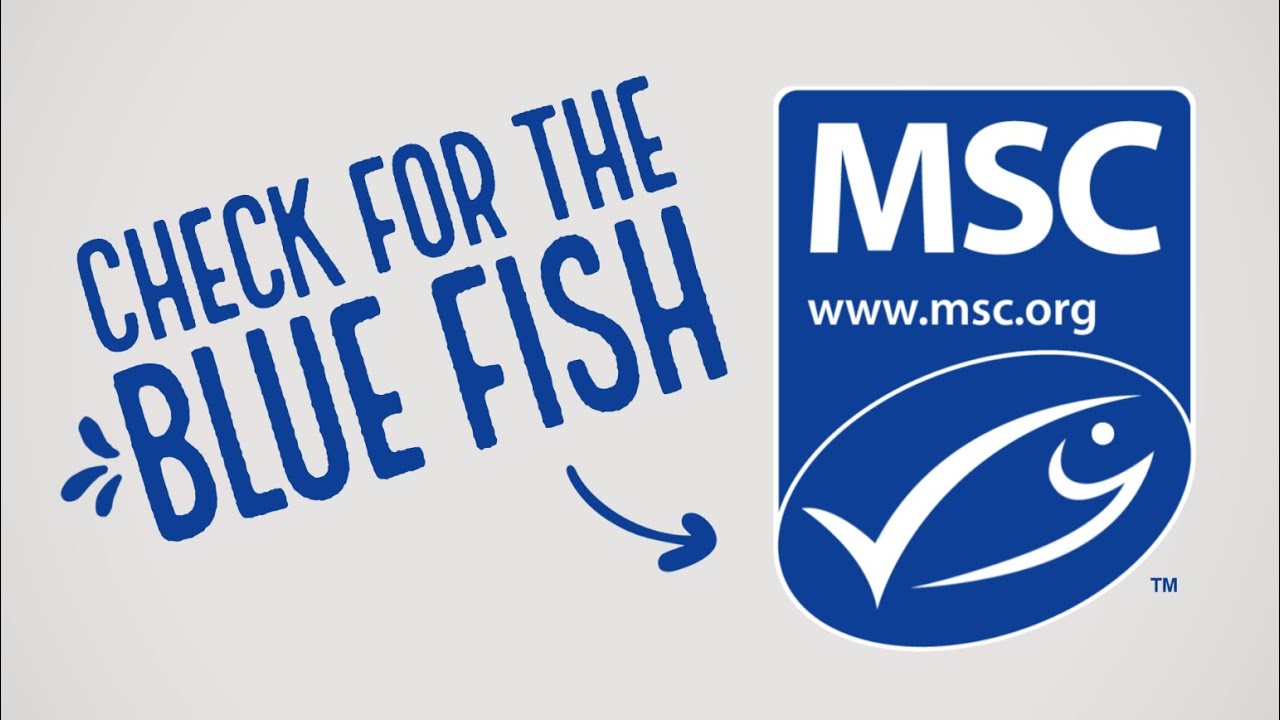 What to Look for When Buying Fish