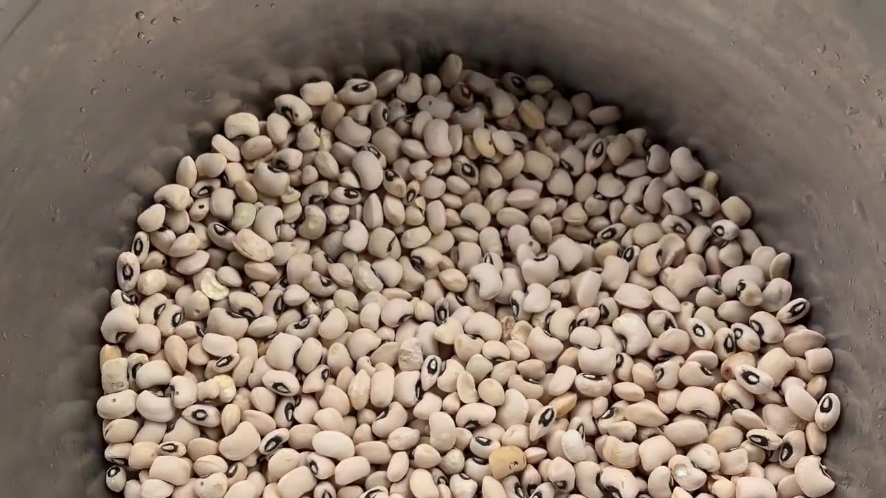 Beans Stew Ghanaian beans stew YouTube