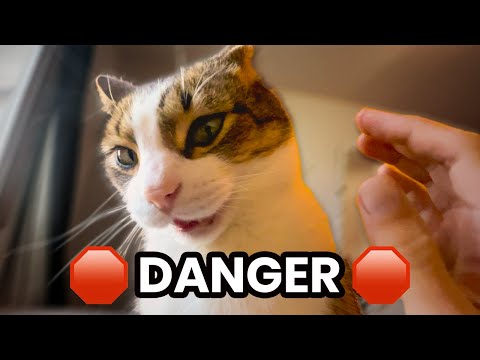 "Why don't you post cuddling videos?"