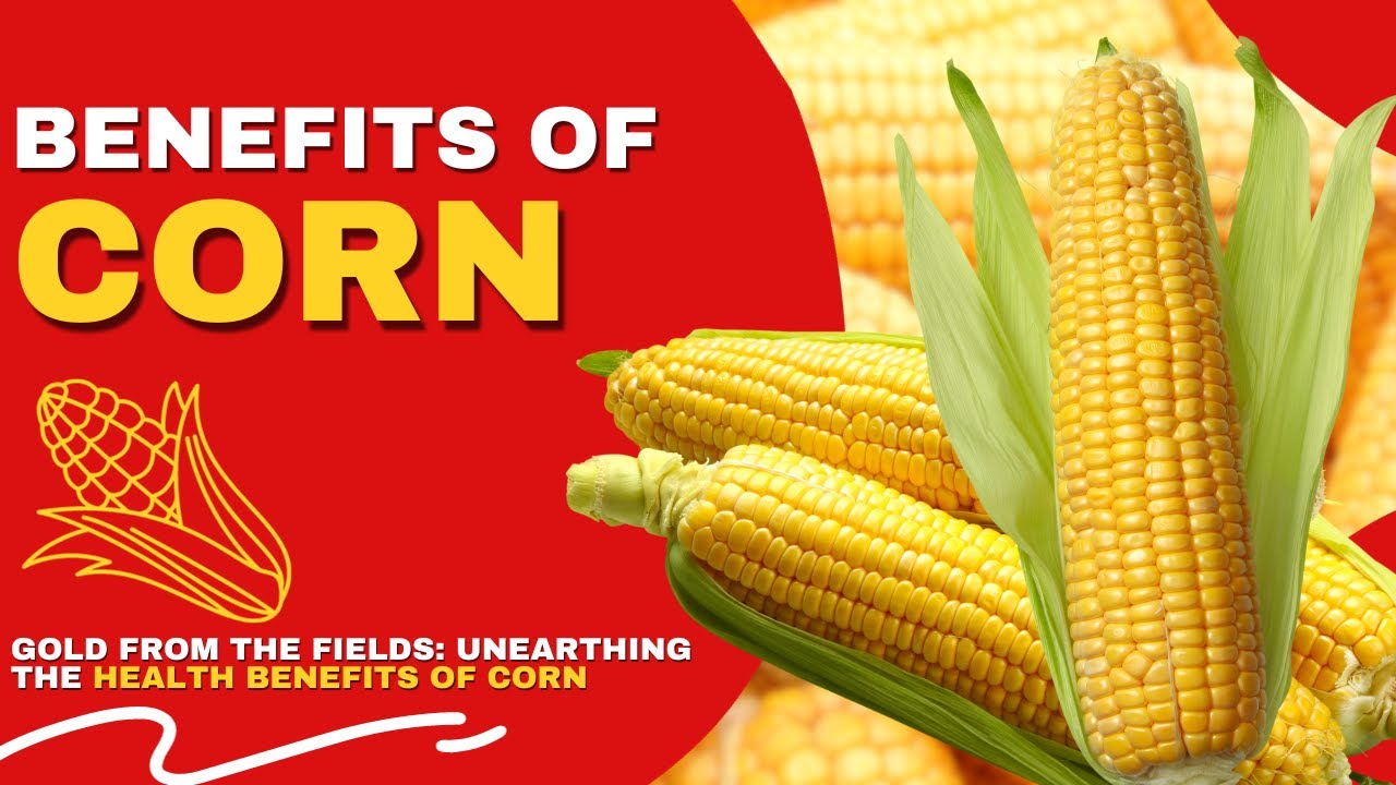 Benefits of Corn Corn Nature's Golden Gift to Your Health YouTube
