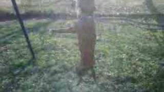 Leo On The Springpole