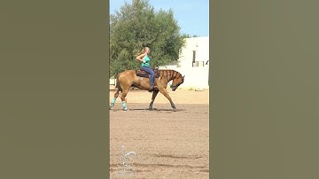 Head over to my Youtube channel to see a full length video called Ted Talks with Z.  #reining  #rein