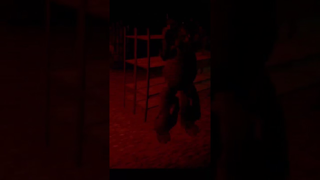 Case Animatronics Walkthrough 