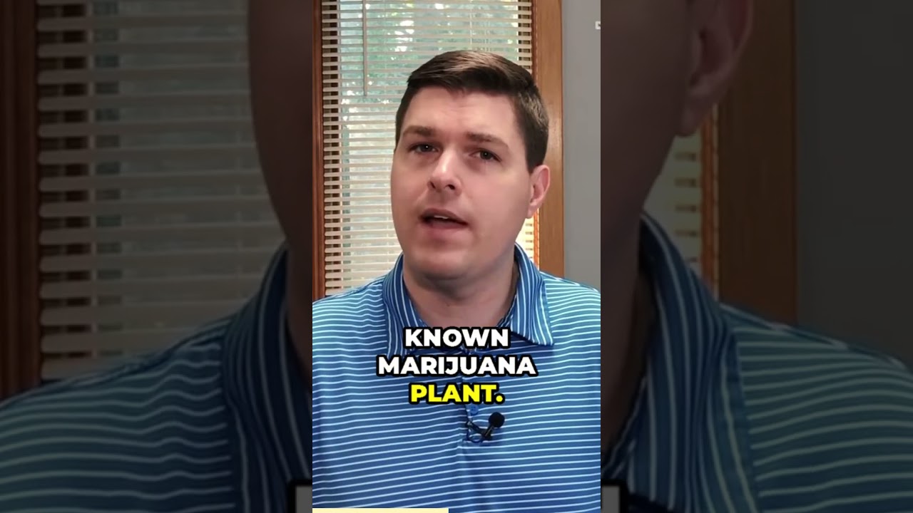 Can CBD Oil Help With Restoring Your Sciatica? 